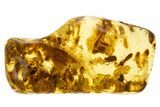 Polished Colombian Copal ( g) - Packed w/ Termites & Beetles #304095-1